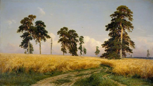 пейзаж, сосны, дорога