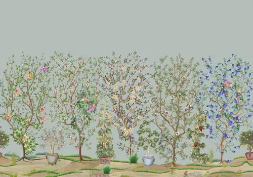 растения в горшках, деревья, зеленые, кусты, сад, цветы в горшках, растения на зеленом фоне
