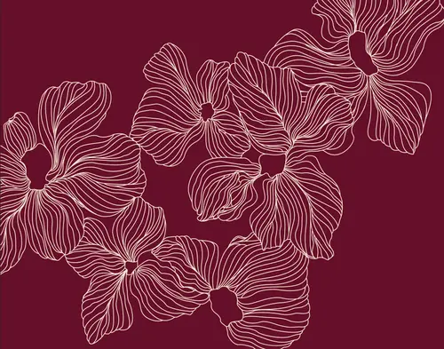 цветы, минимализм, линии
