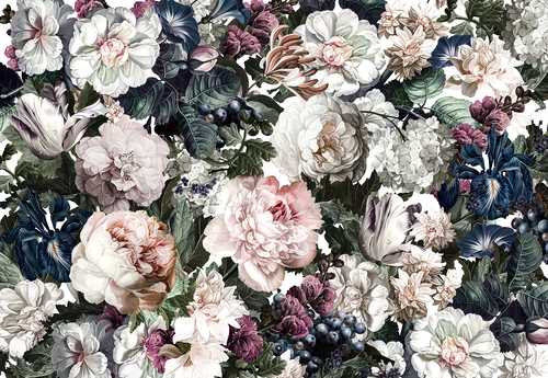 растения, лепестки, пионы, розы, цветы