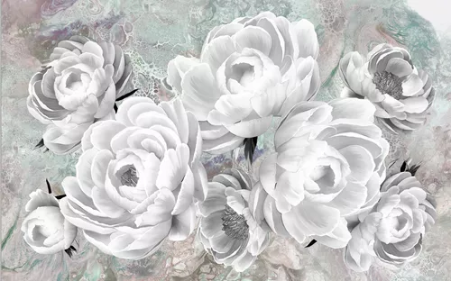 пионы, цветы, бутоны, серые, белые