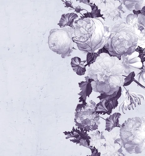 растения, белые, фиолетовые, пионы, цветы, голубые