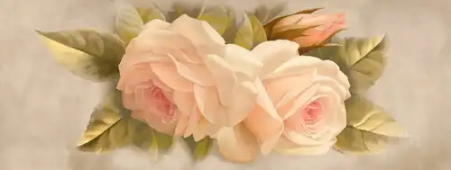 персиковые, широкие, розы, в стиле прованс, в загородный дом, розы увеличенные, персиковые розы, персикового цвета, прованс 