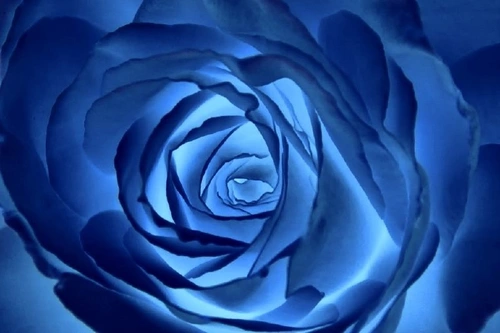 для подростка девочки, в спальню, молодежные, абстракция, цветы, синие, над кроватью, новинки