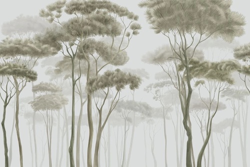 пейзаж, лес, деревья, сосны, светлые, серо-зеленая