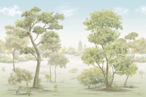 пейзаж, лес, деревья, зеленая, светлые