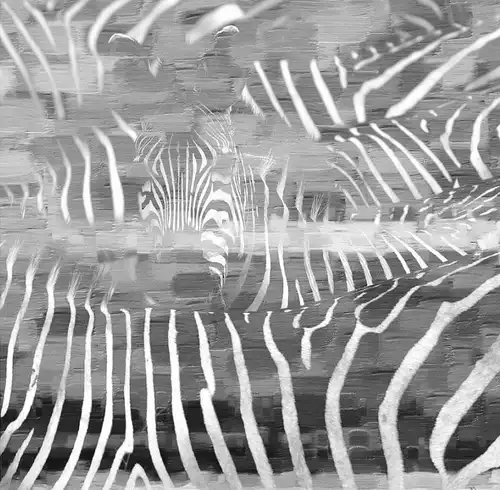 зебры, картины, черно-белые, квадратные, небольшого размера