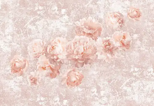 пионы, воздушные, розовые, во всю стену