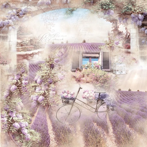 в стиле прованс, сиреневые, лавандовое поле, велосипед, с цветами, прованс