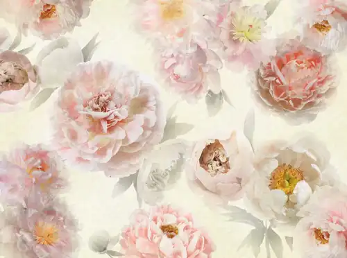 цветы, на кремовом фоне, розовые, белые пионы, обои, крупные, во всю стену, широкие