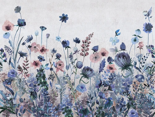 цветы, синие, поляна, широкие
