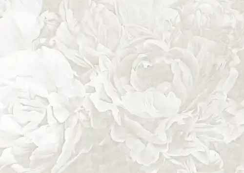 пионы, светлые, крупные