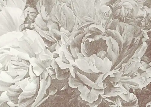 цветы, черно-белые, крупные