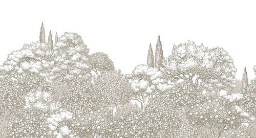 пейзаж, лес, деревья, графика, гравюра, серо-бежевая