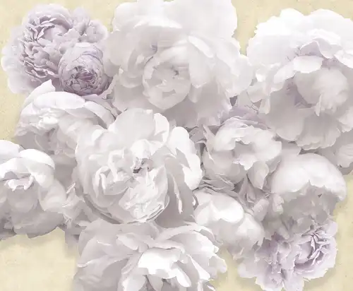 пионы, сиреневые, крупные, на бежевом фоне