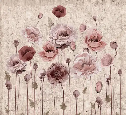 над столом, маки, розовые, на бежевом фоне