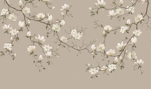 цветы, ветки магнолий, белые, на бежевом фоне