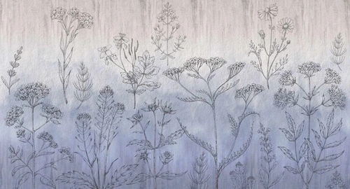 графика, фиолетовые, растения