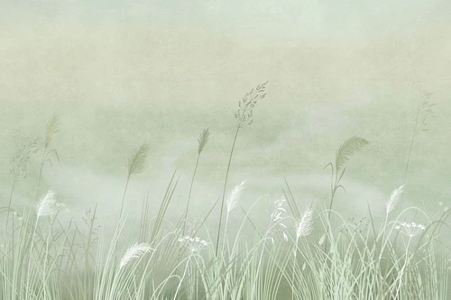 современные, салатовые, зеленые, колоски, колосья