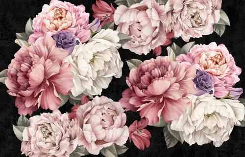 лепестки, розы, трещины, узоры, цветы, пионы, растения, нежность, листья