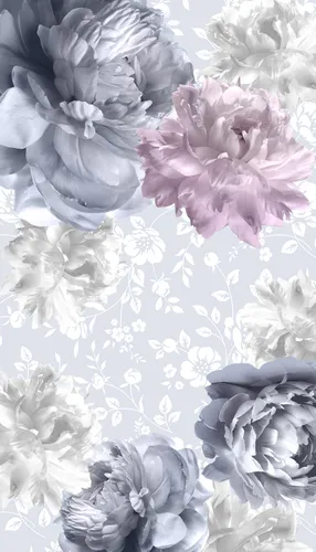 цветы, растения, розовые, белые, серые, пионы