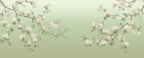 цветы, ветки, магнолии, на зеленом фоне, белые