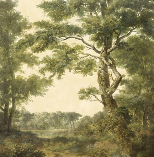 пейзаж, природа, дерево, лес, классические, расширять пространство, 3д