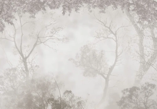 пейзаж, лес в тумане, деревья светлые