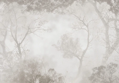 пейзаж, лес, в тумане, новинки, деревья и кусты