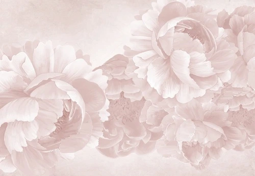 цветы, бледно розовые, пудровые, крупные