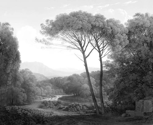 графика, природа, пейзаж, лес, расширить пространство, сосны, 3д