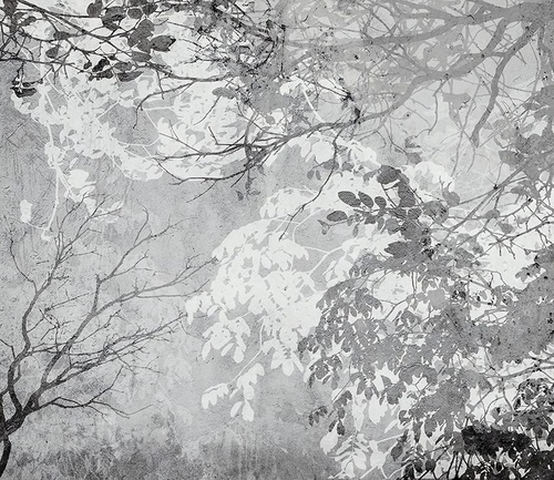 современные, ветки, черно-белые