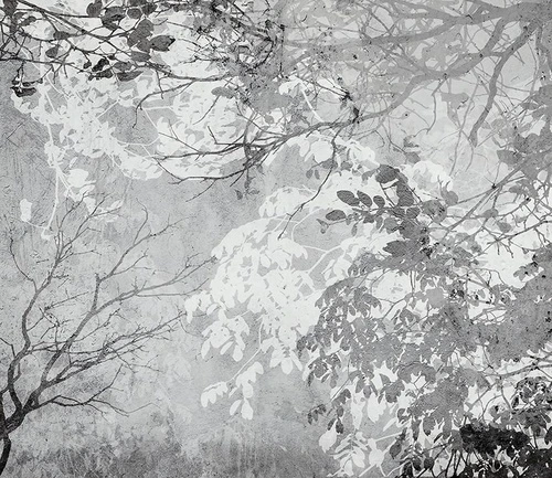 современные, ветки, черно-белые