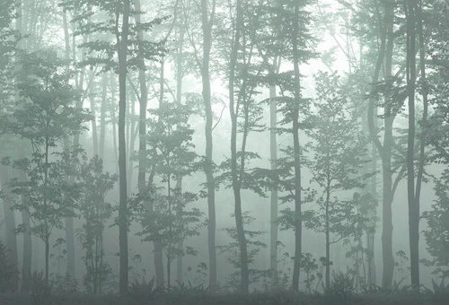 современные, бирюзовые, зеленые, стволы, деревья в тумане