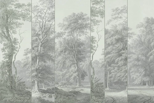 пейзаж, серые, графика, деревья, парк, лес
