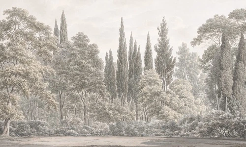 пейзаж, зеленые, новинки, болотного цвета, лес, деревья, тополя