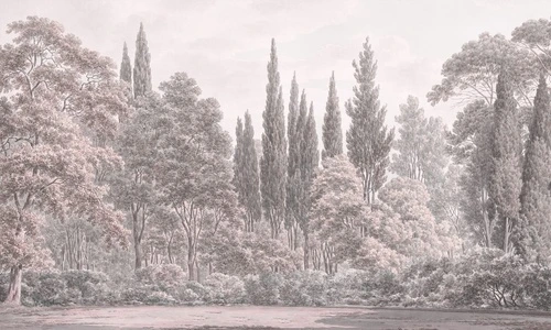 пейзаж, розоватые, кремовые, парк, деревья, лес