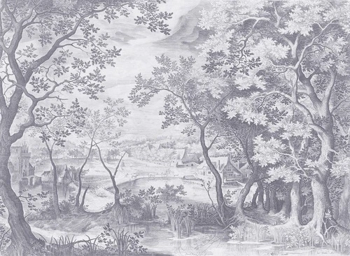 пейзаж, серые, клены, природа, лес