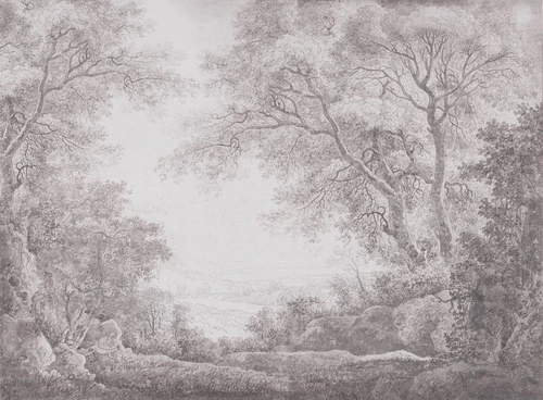 пейзаж, серо-бежевые, новинки, природа русская, деревья, лес