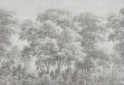 пейзаж, серые, деревья, лес