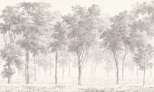 пейзаж, серо-бежевые, лес, деревья в тумане, стволы деревьев