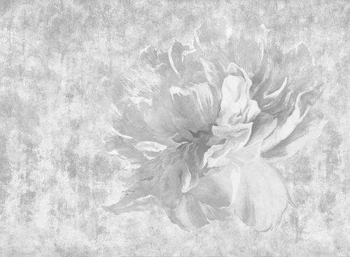 цветы, лофт, черно-белые, на штукатурке