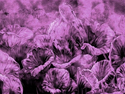 современные, фиолетовые, лотос, листья, яркие