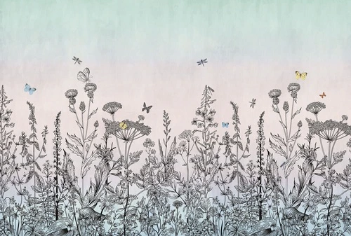 цветы, градиент, ботаника, черные контуры, бабочки, растения, полевые цветы, пастельные, природа, нежные, розово-голубые