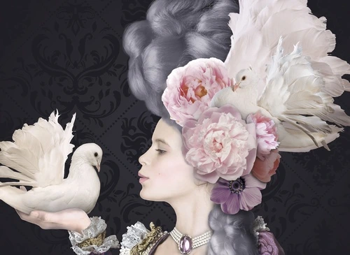 девушка, парик, голуби, цветы, пионы, анемоны, черный фон, барочный стиль, ретро, портрет