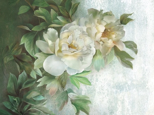 пионы, листья, зелёные, белые, крупные цветы, цветы, градиентный фон, светлый фон