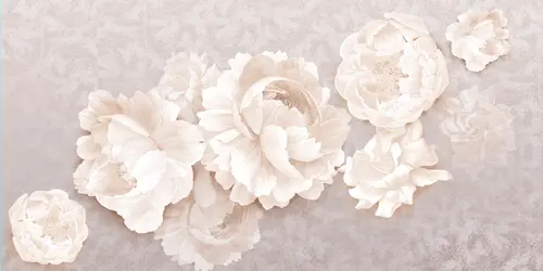 пионы, розы, цветы, лепестки, растения, узоры