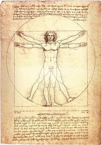 графика, картины, леонардо да винчи