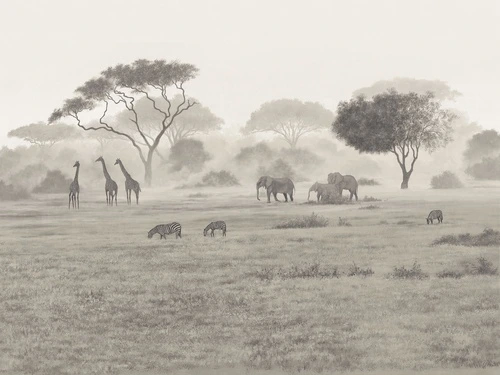 туман, саванна, зебры, деревья, кусты, слоны, трава, жирафы