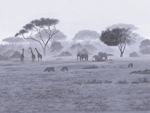 деревья, трава, саванна, жирафы, зебры, кусты, слоны, туман